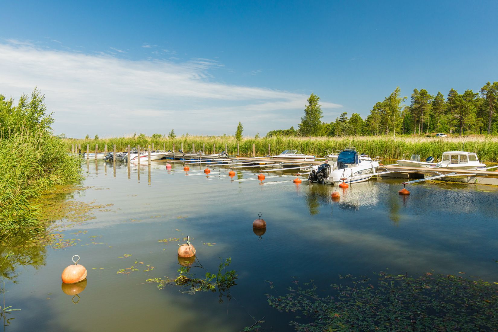 Villa, Norra Kedum Smörblomman 3, Marbogården, Lidköping