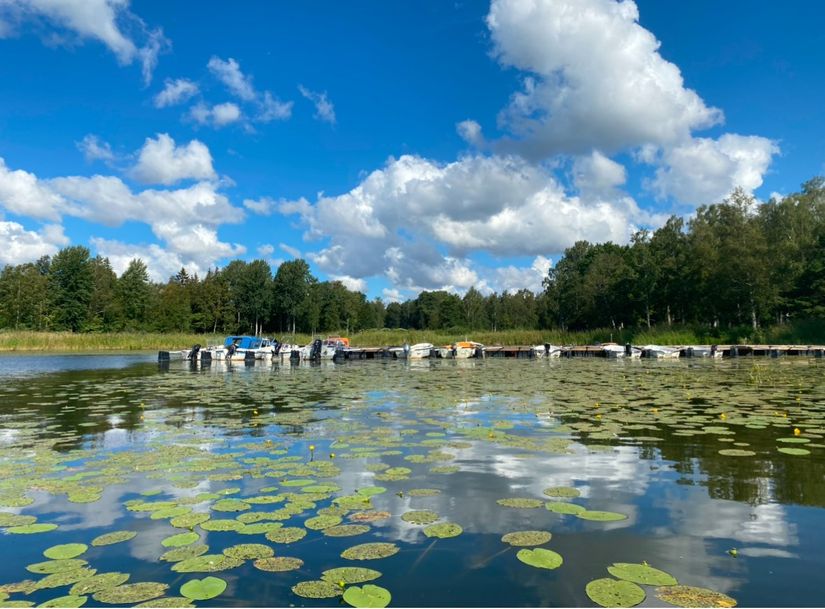Villa, Andvägen 7, Björkudden/Lunger, Arboga