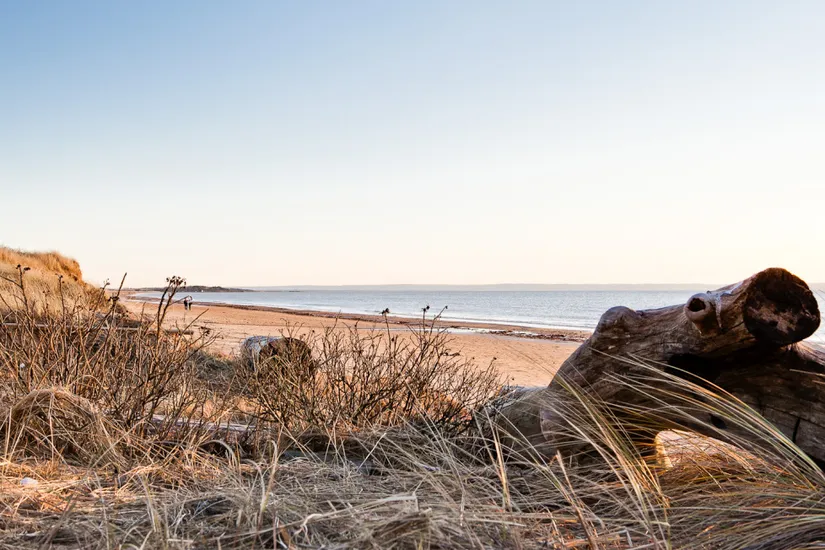 Fritidshus, Strandskatans fritidsby 81, Östra Stranden, Halmstad