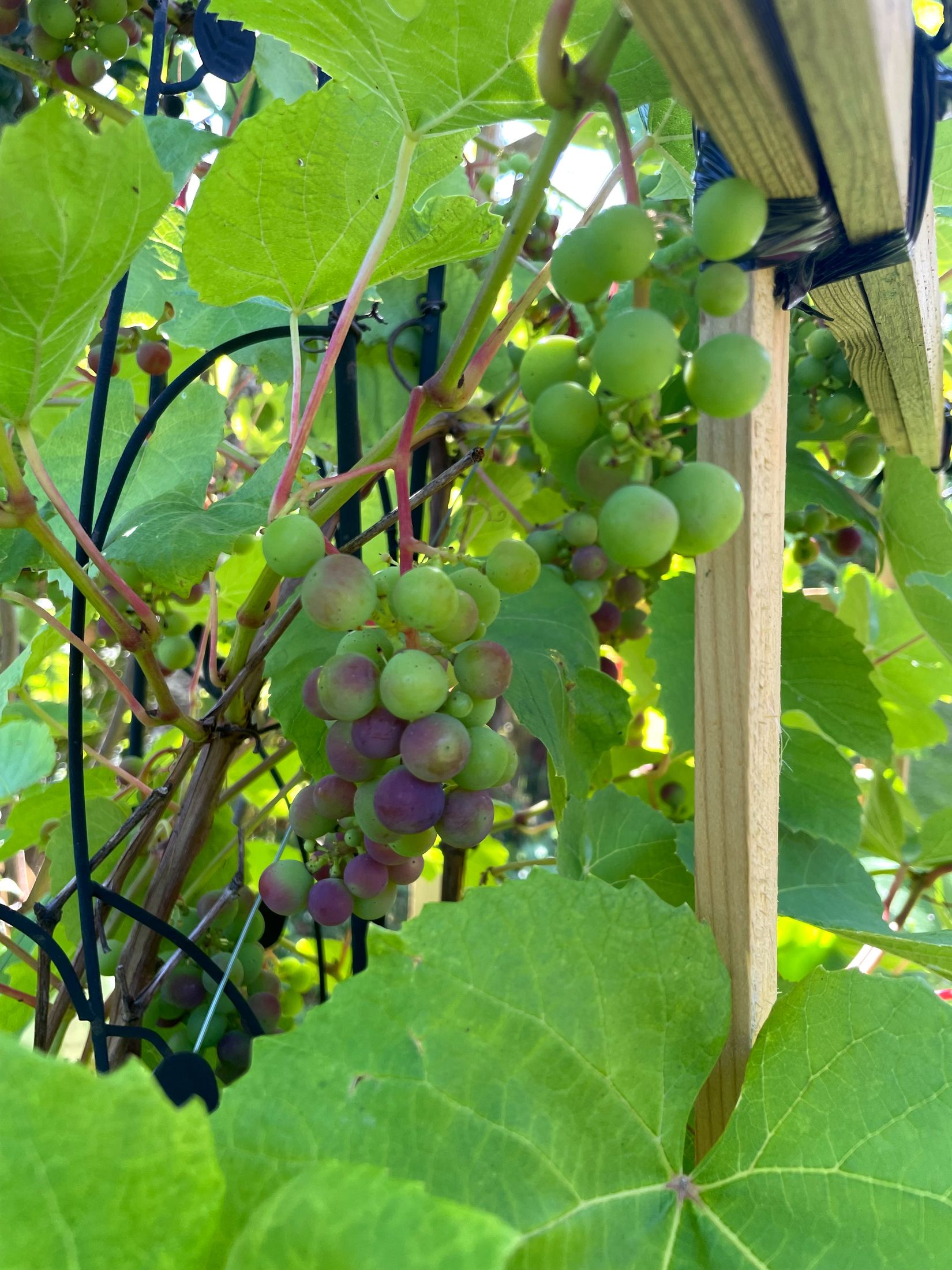 Fritidshus, Gruvvägen 42, lott nr 12, Turbo, Sala