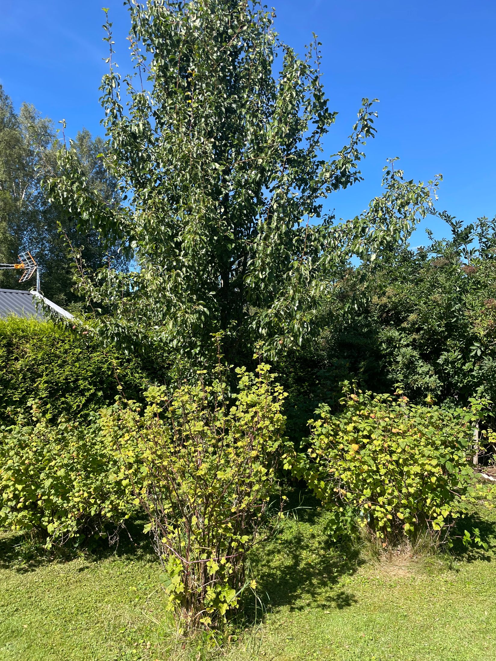 Fritidshus, Gruvvägen 42, lott nr 12, Turbo, Sala