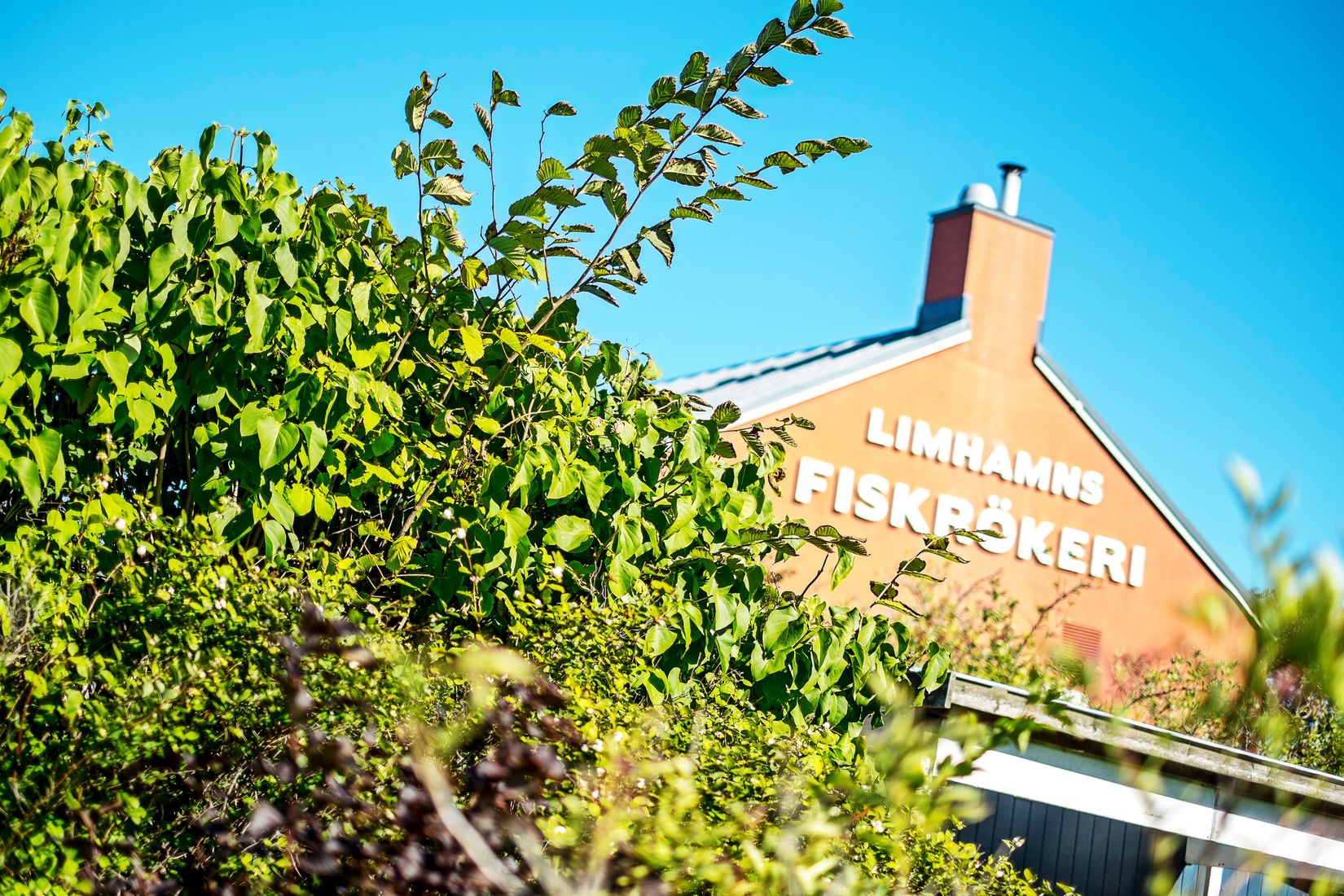 Bostadsrätt, Vasagatan 16B, Malmö