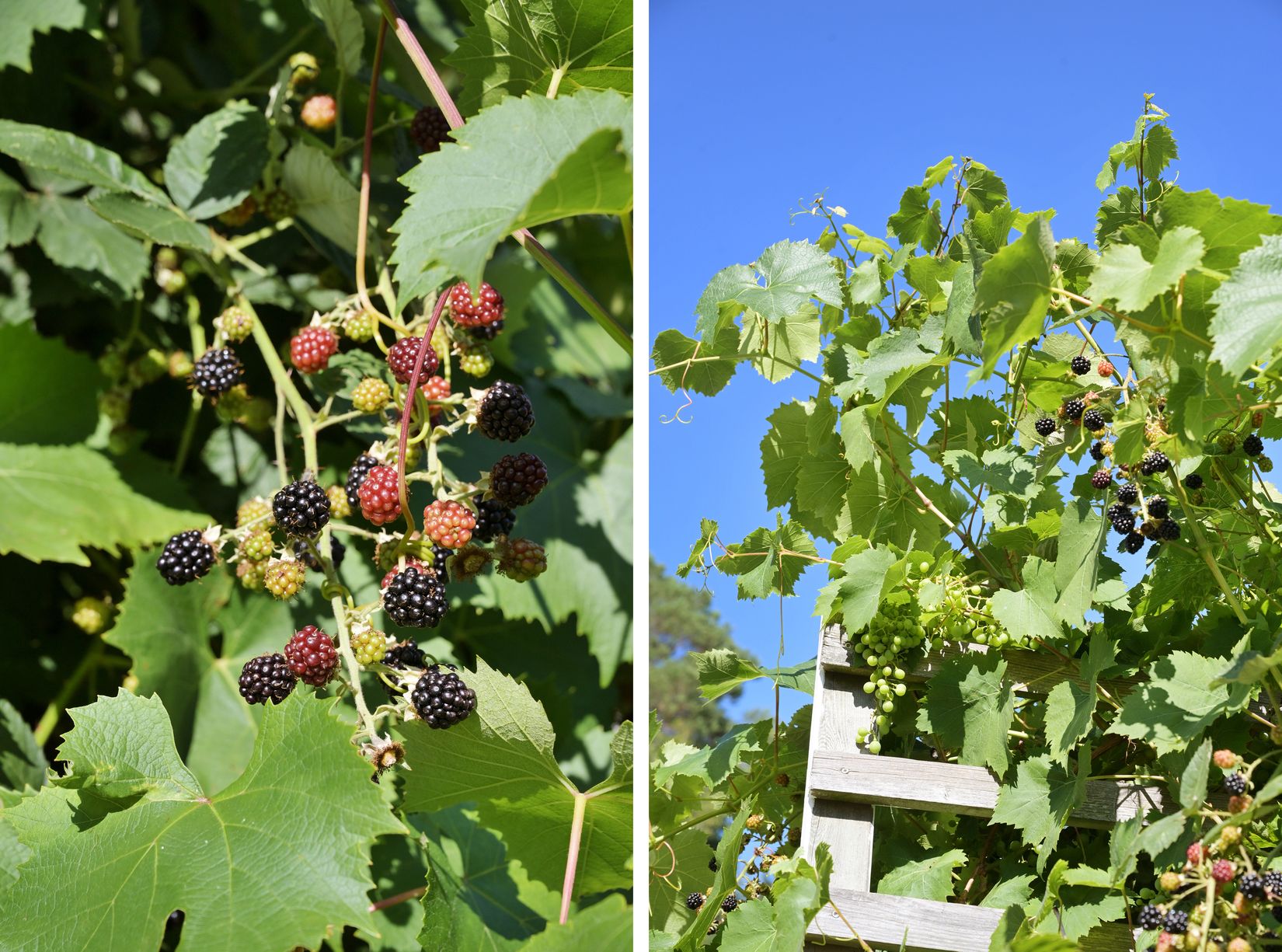 Villa, Skarnholmsvägen 3, Färingsö Kungsberga, Ekerö
