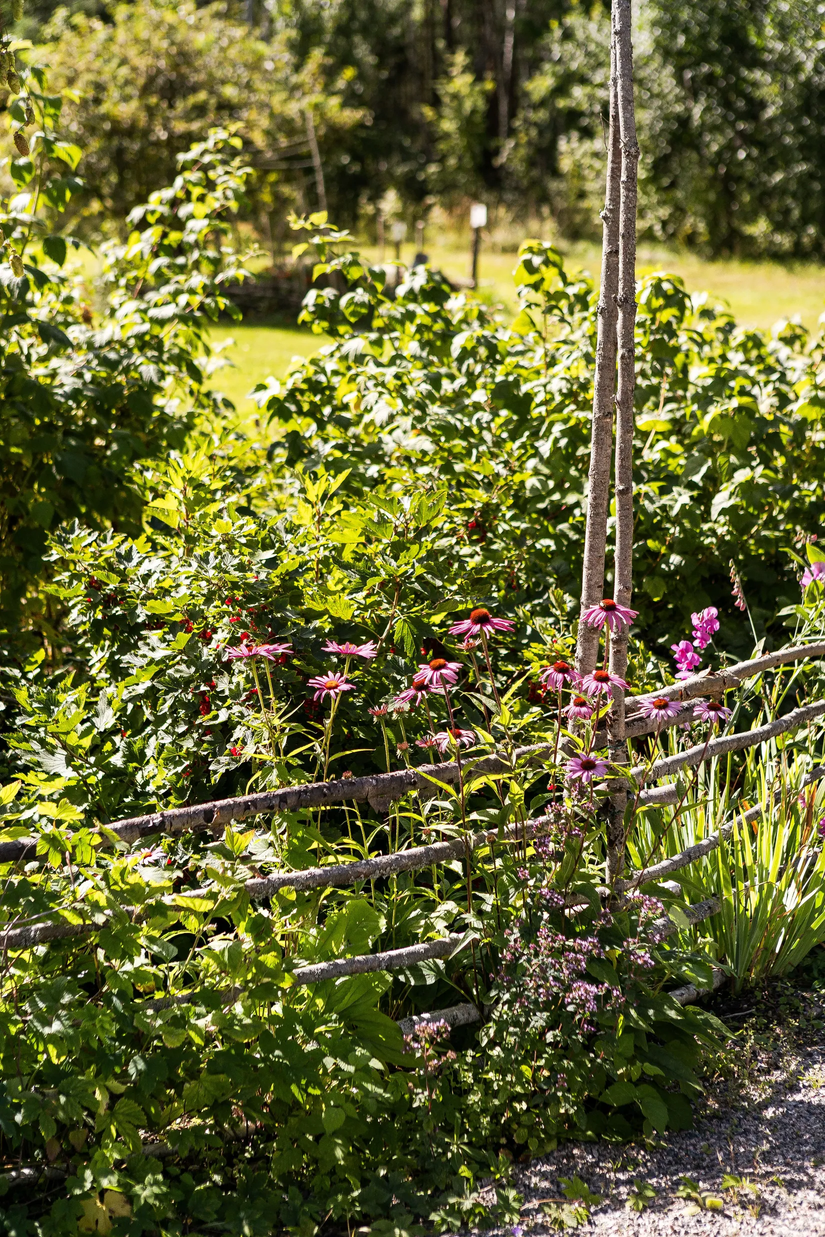 Bostadsrätt, Högbo 7A, Högbo, Falun