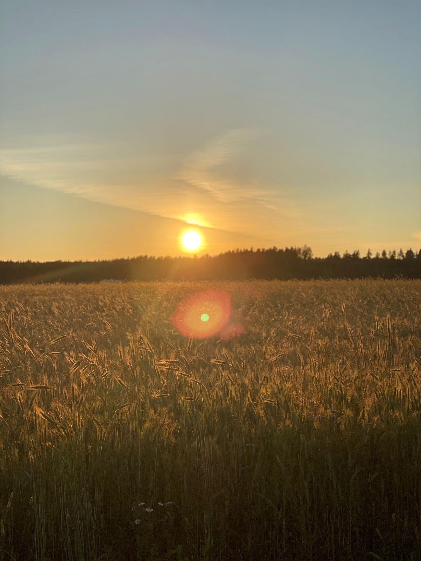 Tomt, Verkanäsvägen 8, Askersund