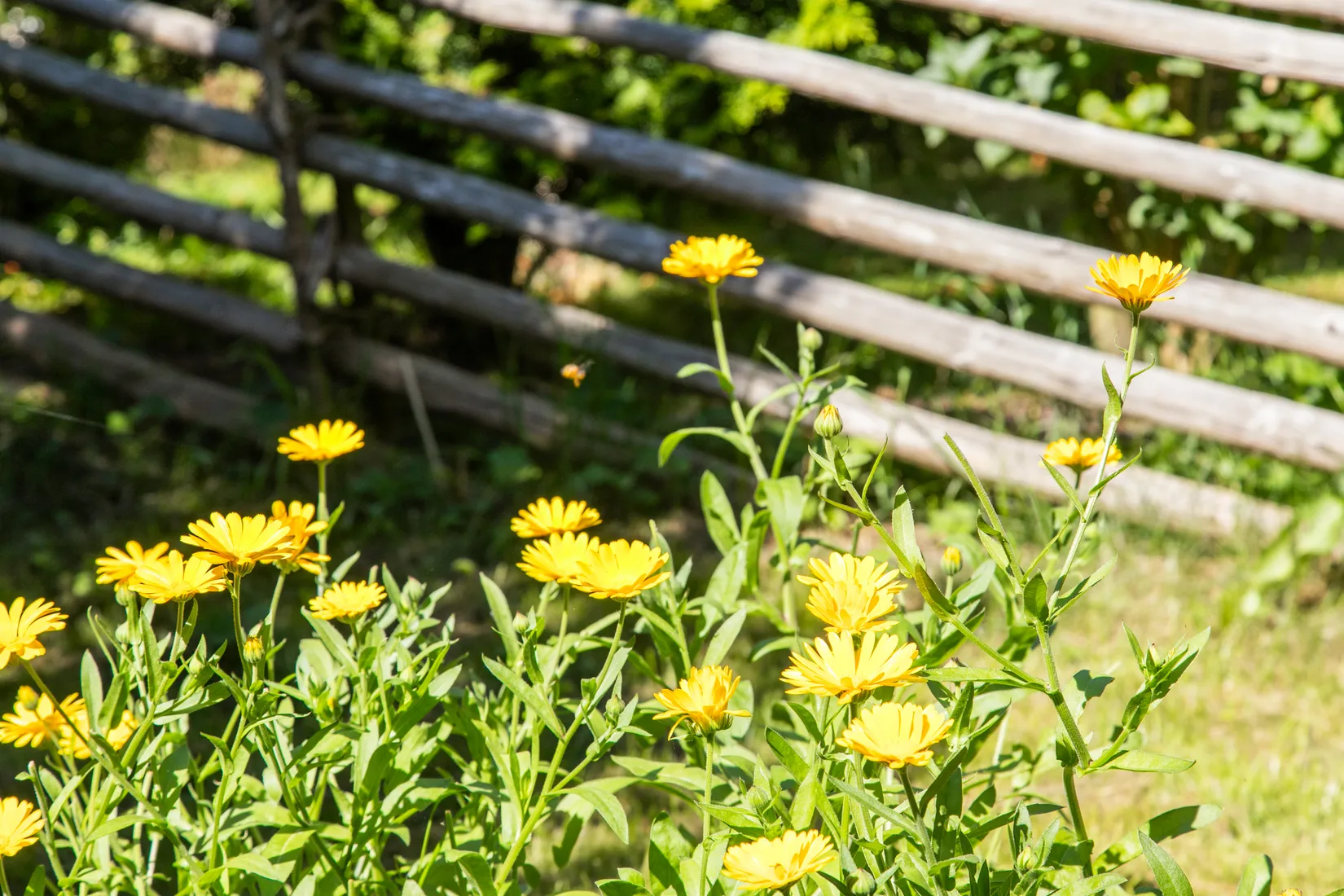 Fritidshus, Klövervägen 5, Björkäng, Varberg