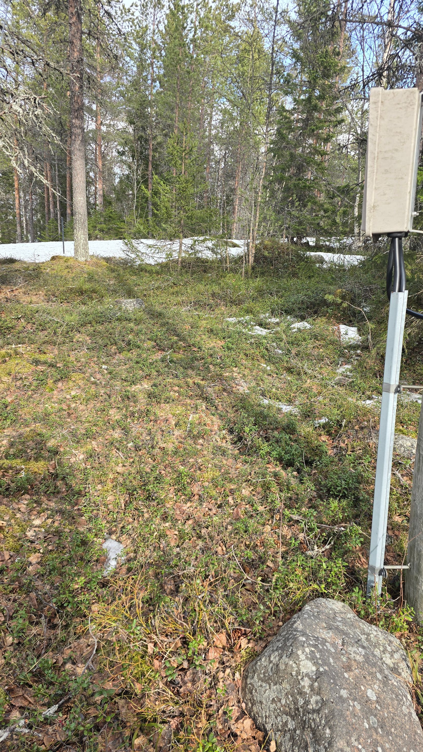 Tomt, Stugtomt i Ryssbält, Ryssbält, Kalix