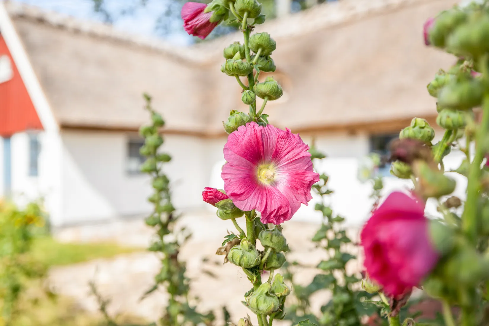 Villa, Pregestadsvägen 87-32, Sjöbo