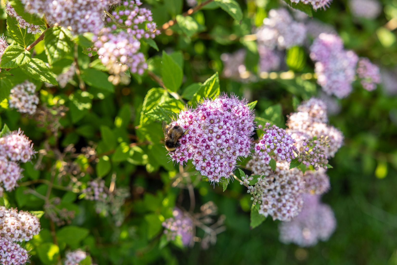 Villa, Månskensvägen 5, Ersmark, Umeå