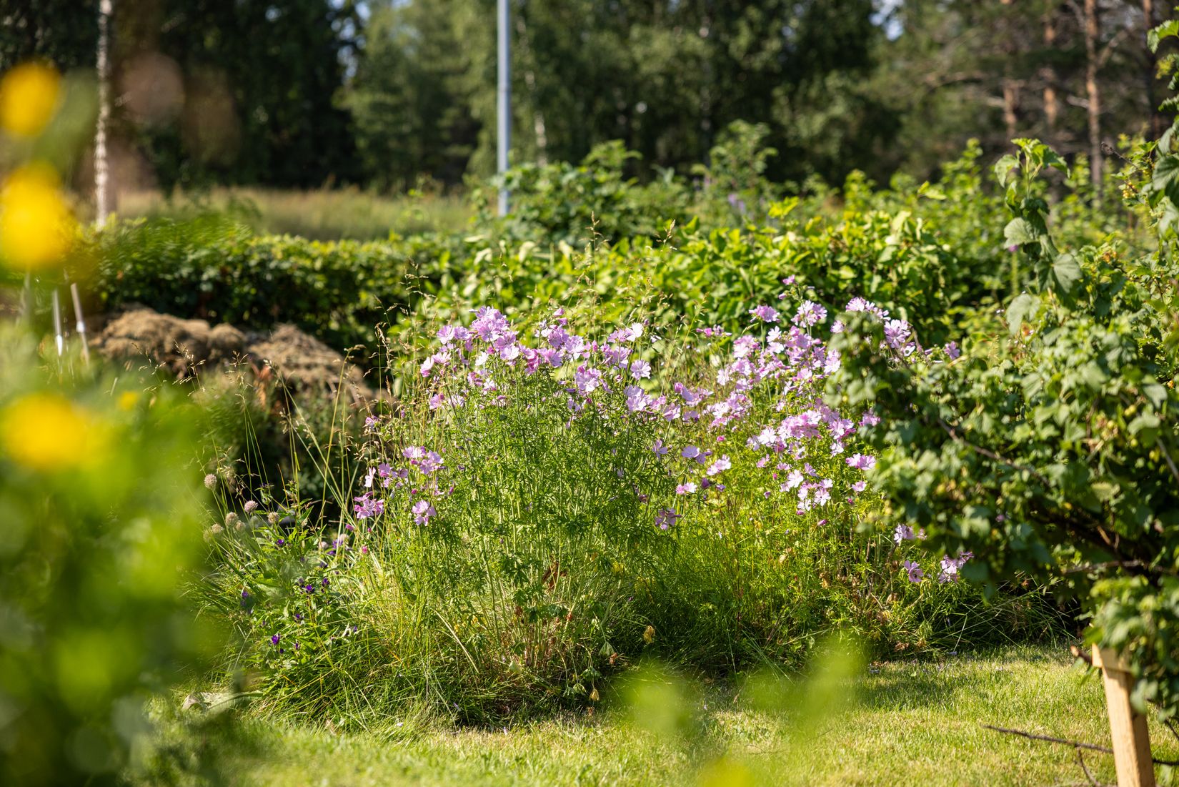 Villa, Månskensvägen 5, Ersmark, Umeå