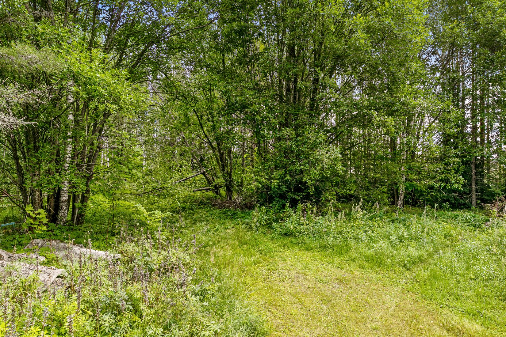 Tomt, Peder Almenius väg 5, Tavlan, Gävle