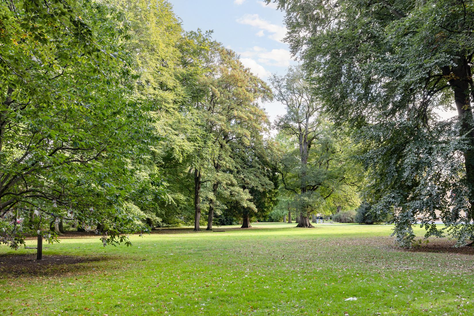 Bostadsrätt, Fridhemstorget 20A, Ribersborg, Malmö