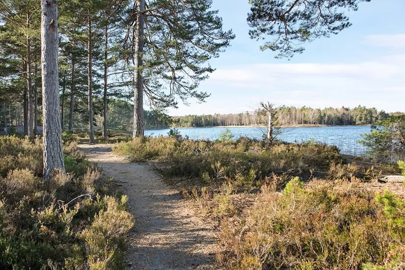 Bostadsrätt, Ripklovägen 5, Värmdö - Strömma, Värmdö
