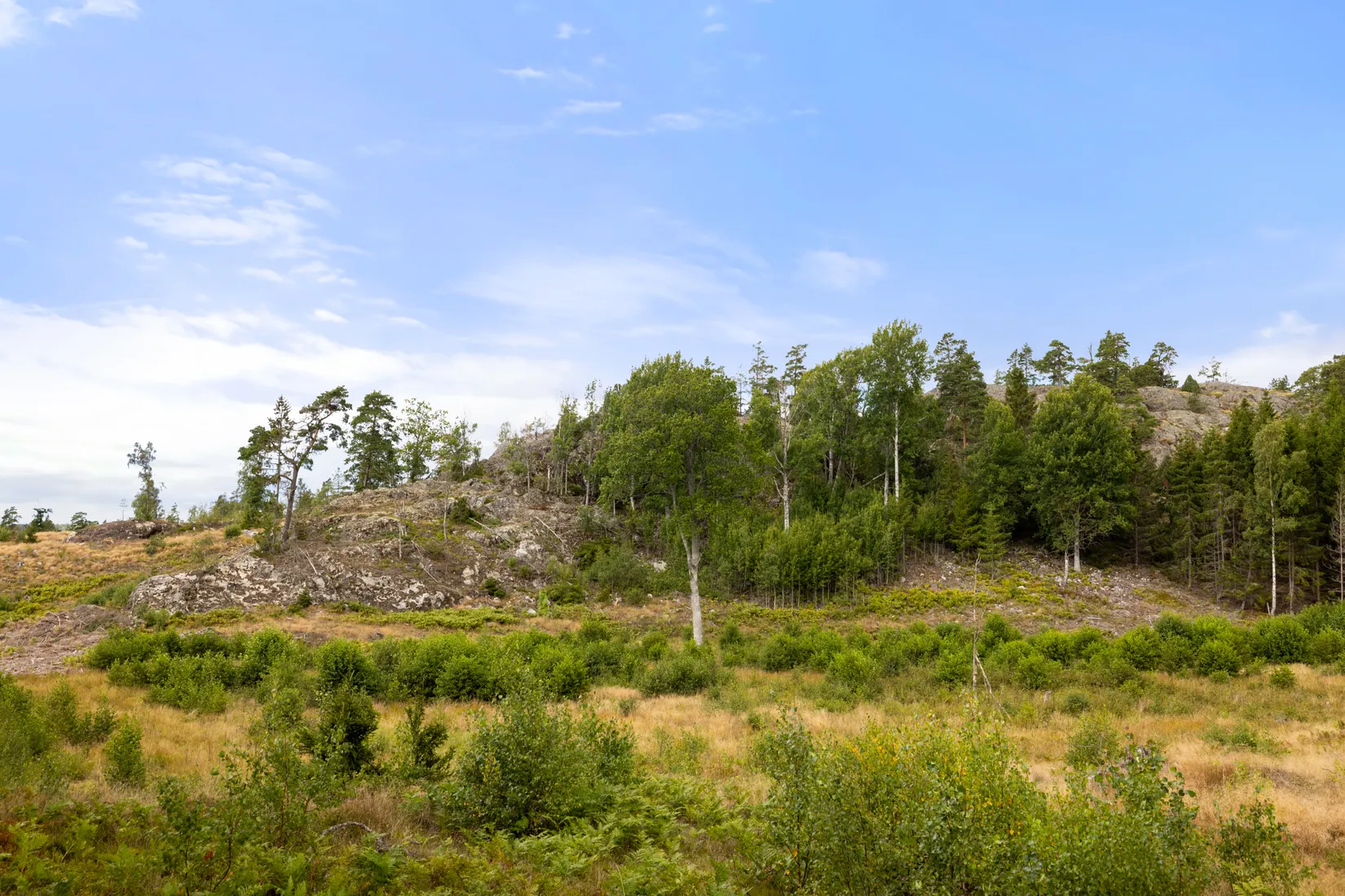 Tomt, Björsholmsvägen, Nynäshamn  Sorunda, Nynäshamn