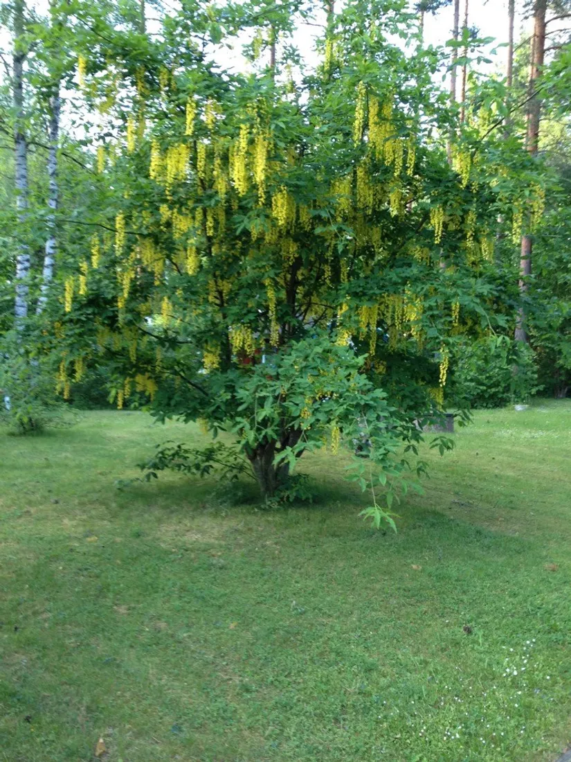 Fritidshus, Vårlöksvägen 8, Estuna - Vämlinge, Norrtälje