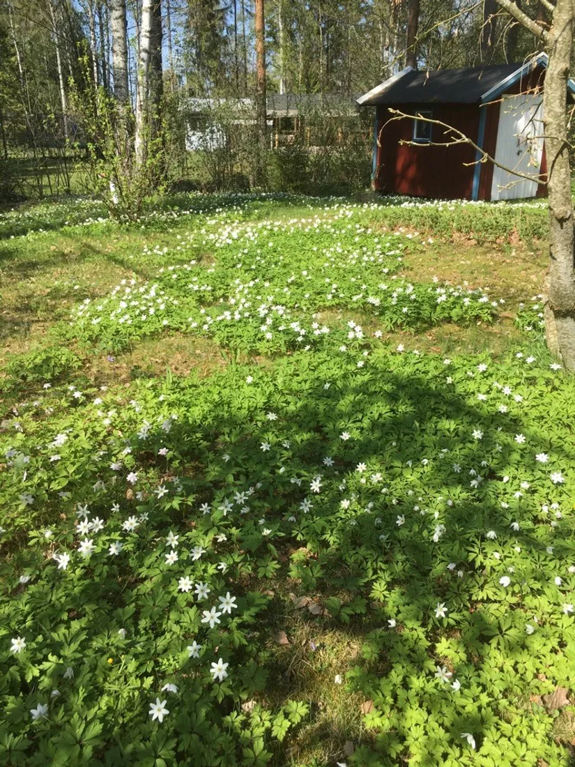 Fritidshus, Vårlöksvägen 8, Estuna - Vämlinge, Norrtälje