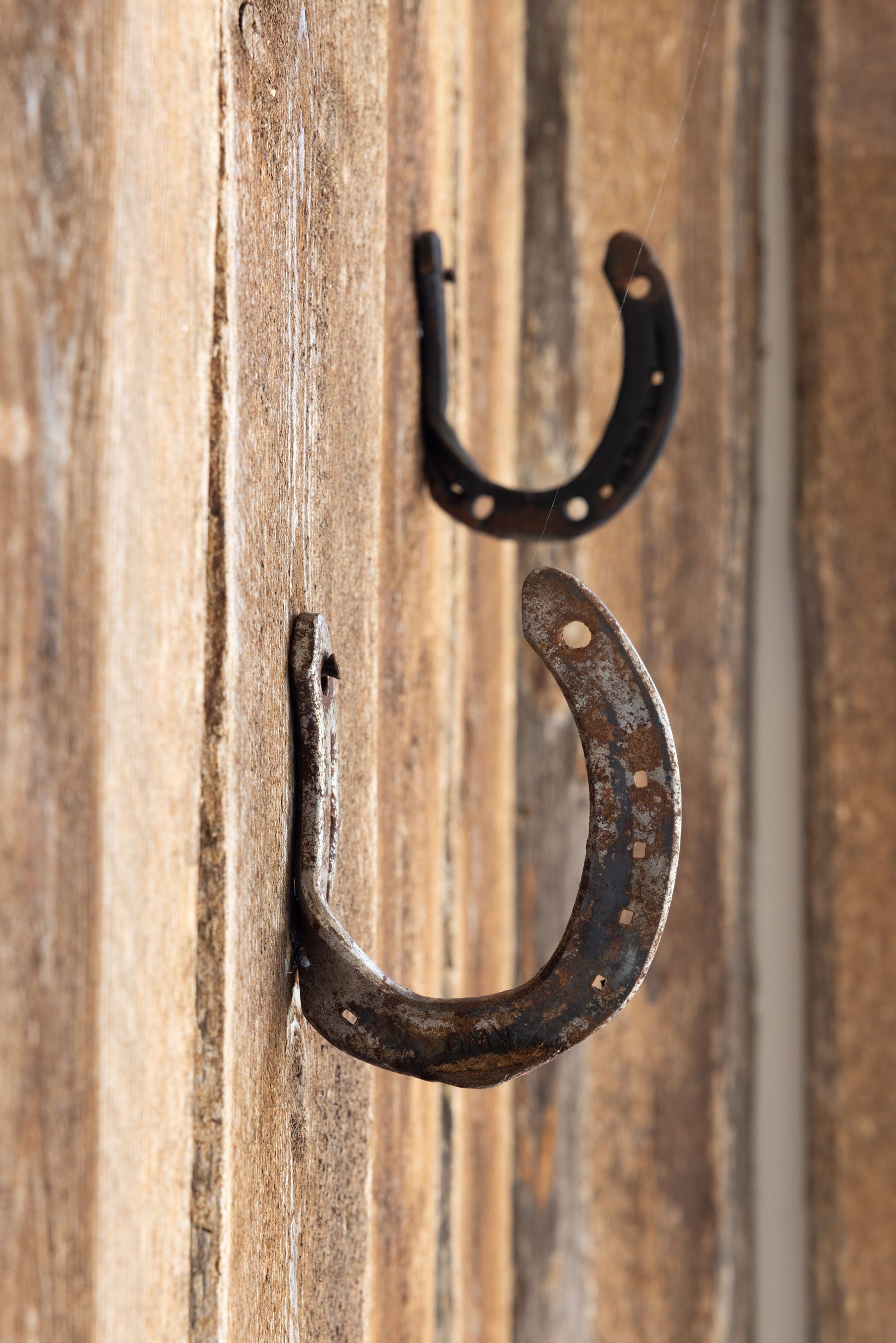 Gård/Skog, Stenkyrka Broungs 641B, Stenkyrka, Gotland