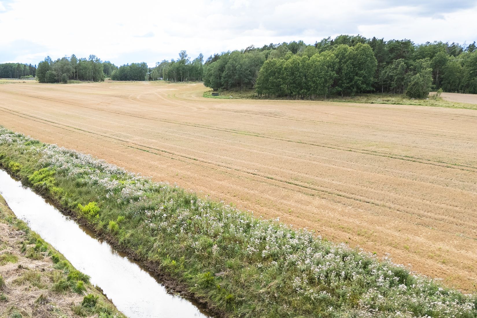 Gård/Skog, Ökna gård, Eskilstuna