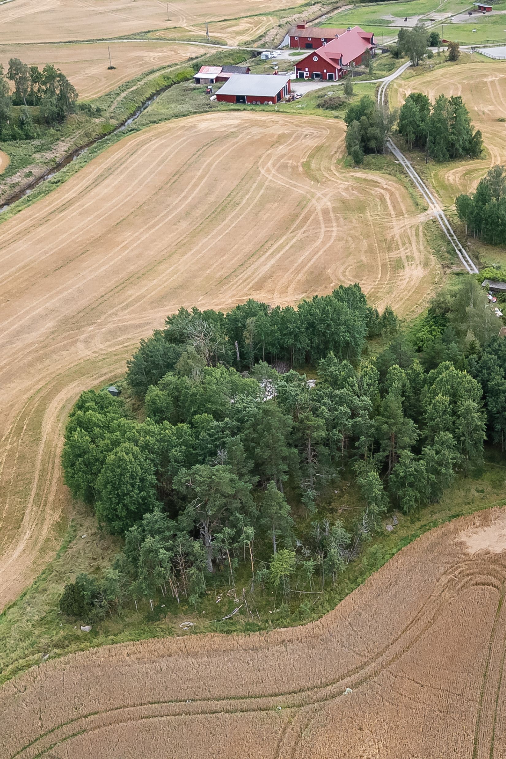 Gård/Skog, Ökna gård, Eskilstuna