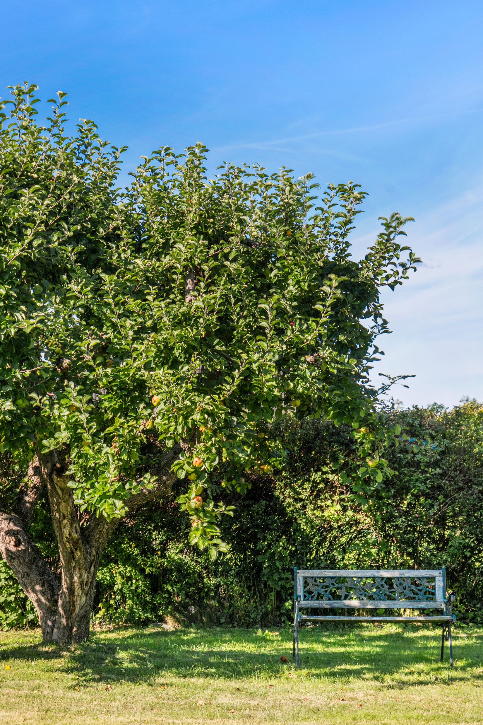 Villa, Åsvägen 27, Odenslunda, Upplands Väsby