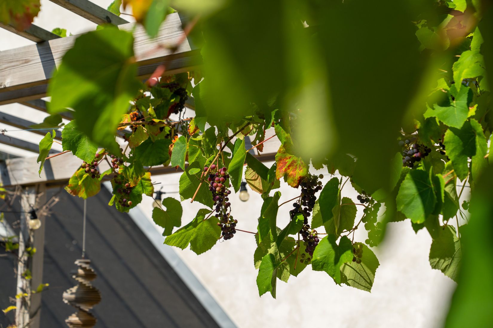 Radhus, Långgatan 32, Råå, Helsingborg