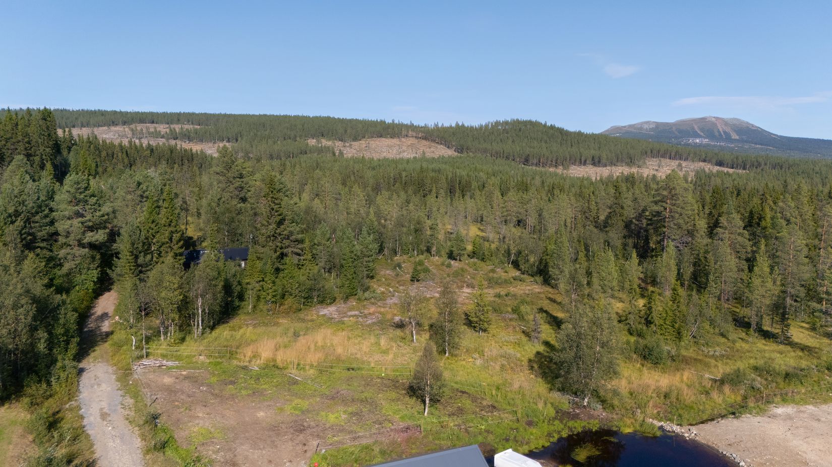 Gård/Skog, Strådalen 302, Härjedalen