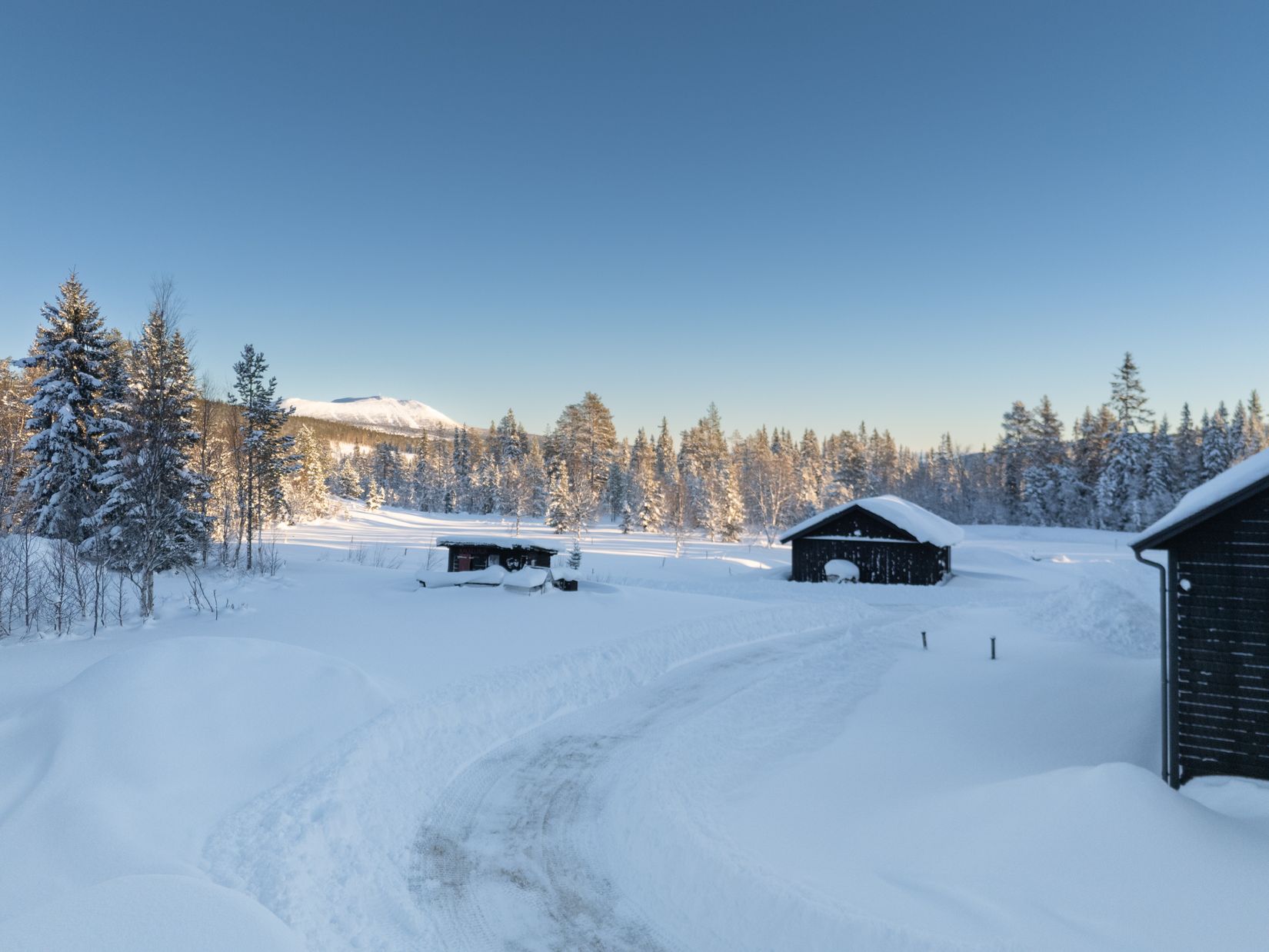 Gård/Skog, Strådalen 302, Härjedalen