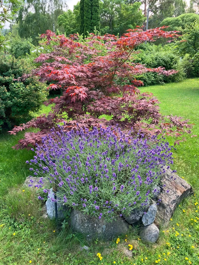 Fritidshus, Rödingvägen 6, Herresta, Strängnäs