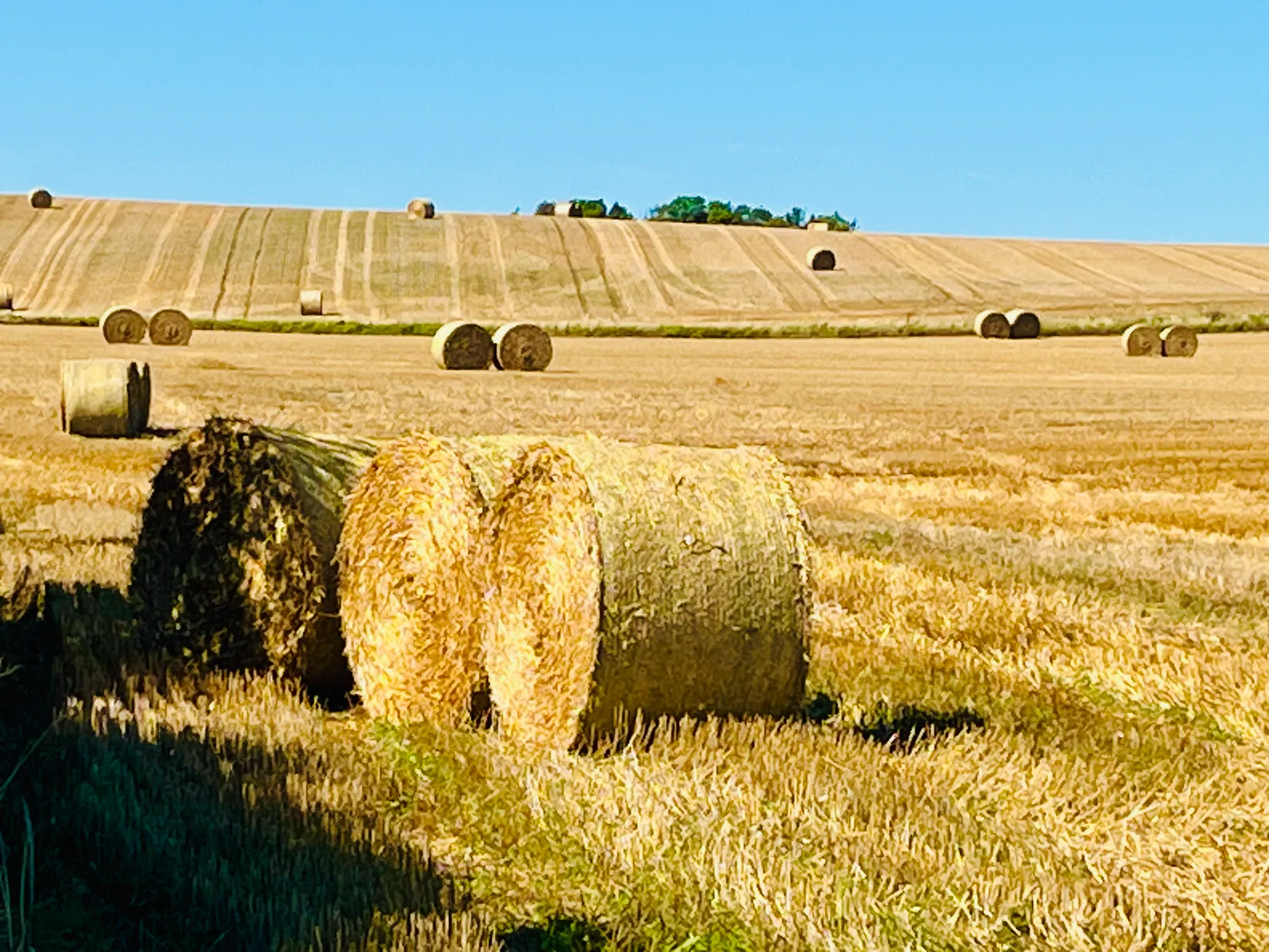 Villa, Långgatan 53, Skillinge, Simrishamn
