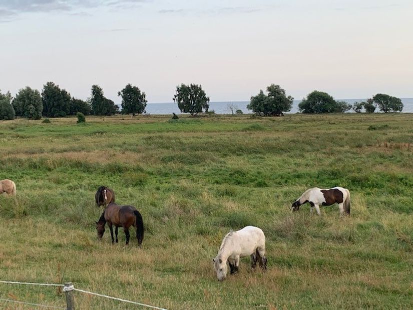 Villa, Bolstervagnsvägen 19, Dalköpinge, Trelleborg