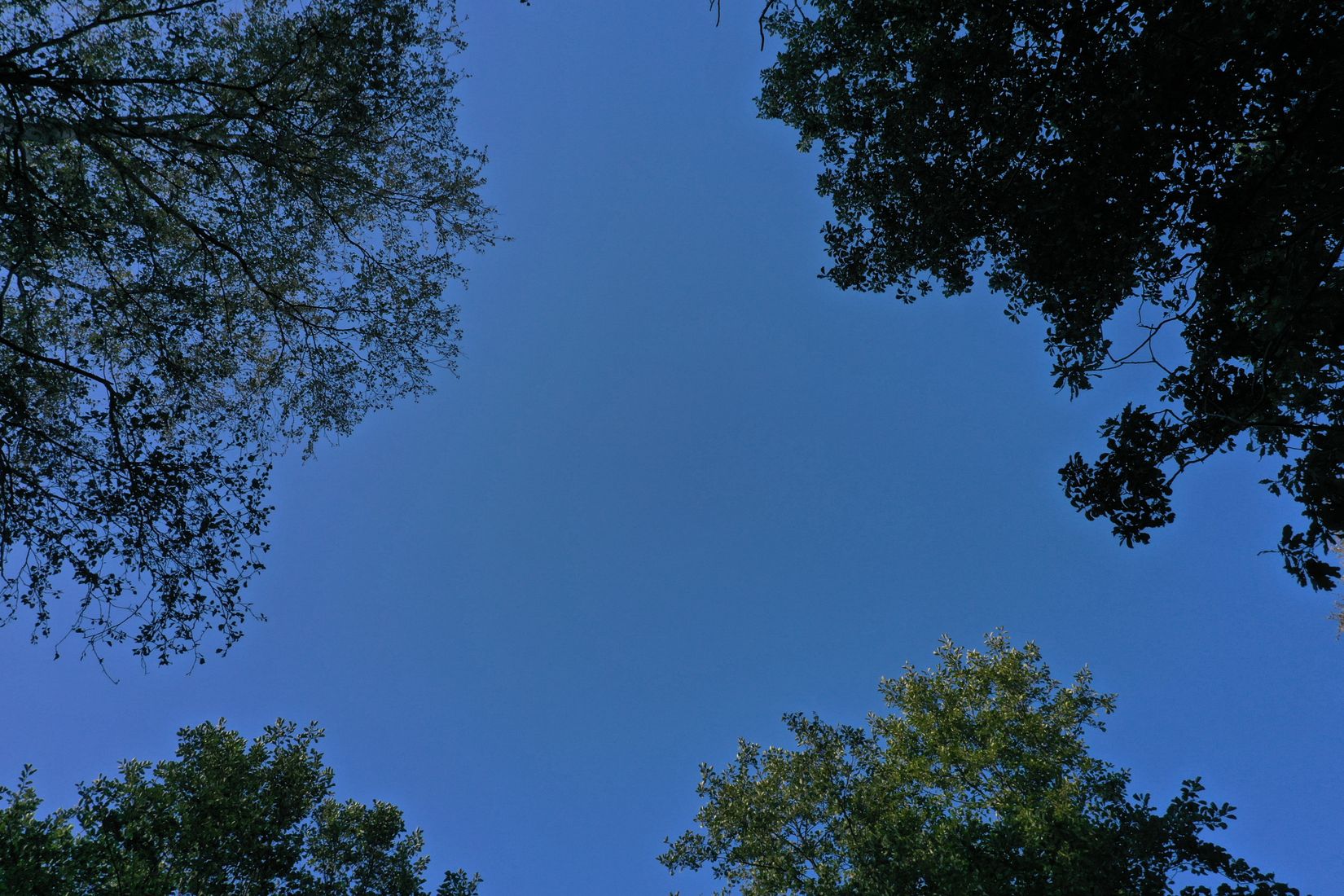 Tomt, Uppegårdsvägen - Tomt i Landvetter, Tahult, Härryda