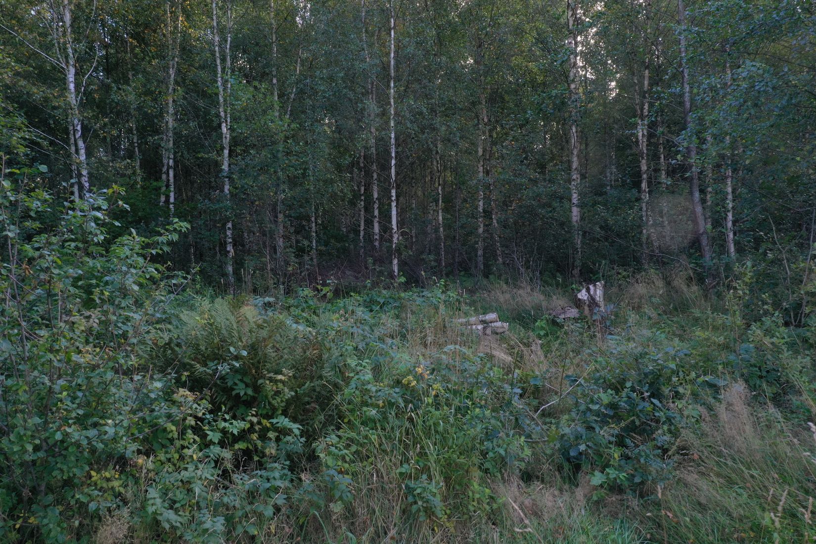 Tomt, Uppegårdsvägen - Tomt i Landvetter, Tahult, Härryda