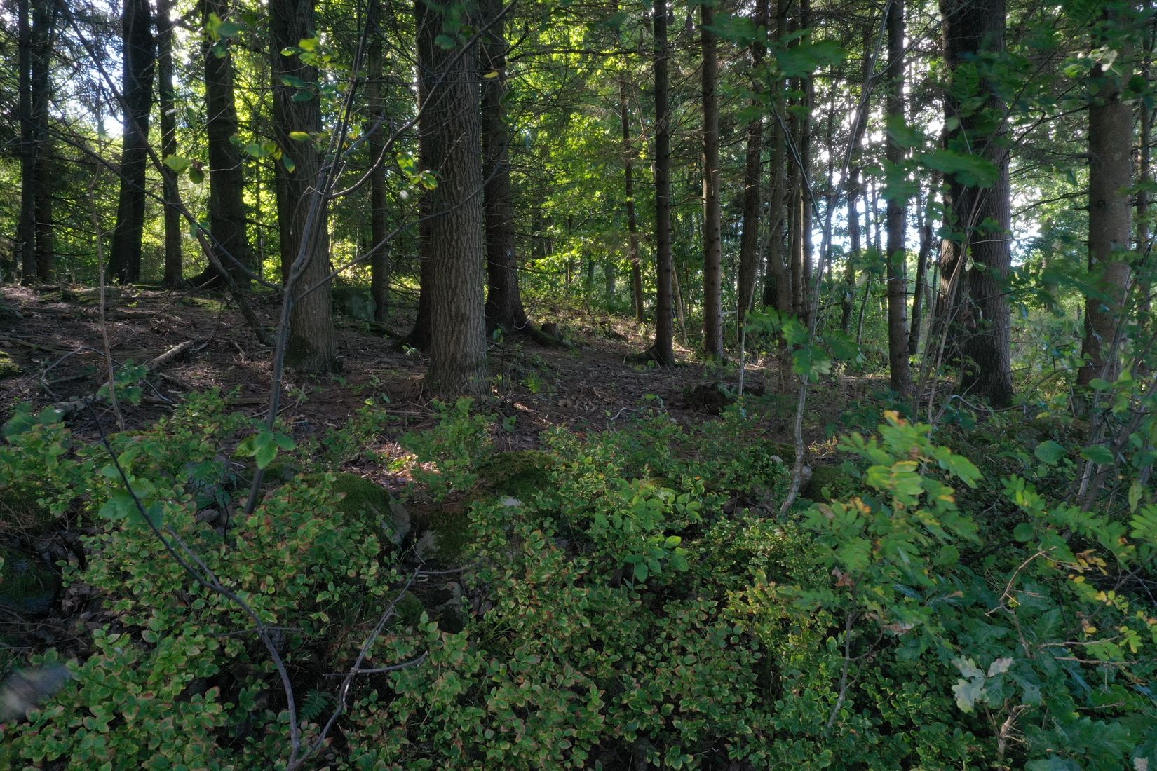 Tomt, Uppegårdsvägen - Tomt i Landvetter, Tahult, Härryda