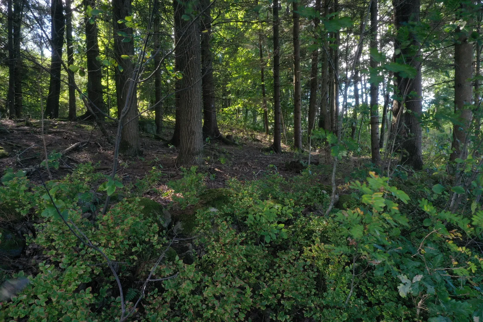 Tomt, Uppegårdsvägen - Tomt i Landvetter, Tahult, Härryda
