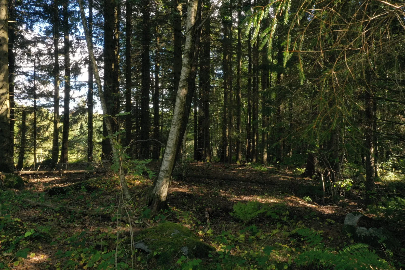 Tomt, Uppegårdsvägen - Tomt i Landvetter, Tahult, Härryda