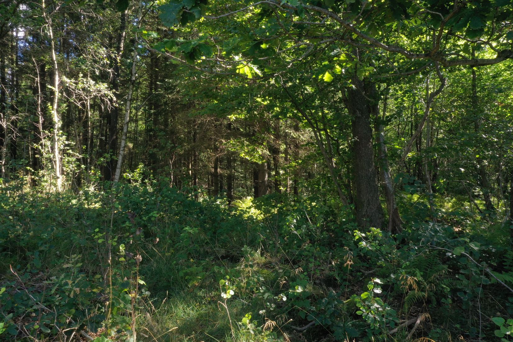 Tomt, Uppegårdsvägen - Tomt i Landvetter, Tahult, Härryda