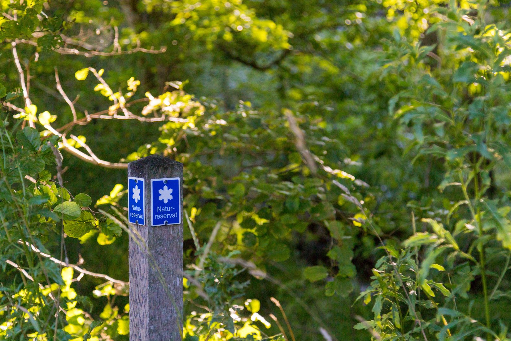 Tomt, Uppegårdsvägen - Tomt i Landvetter, Tahult, Härryda
