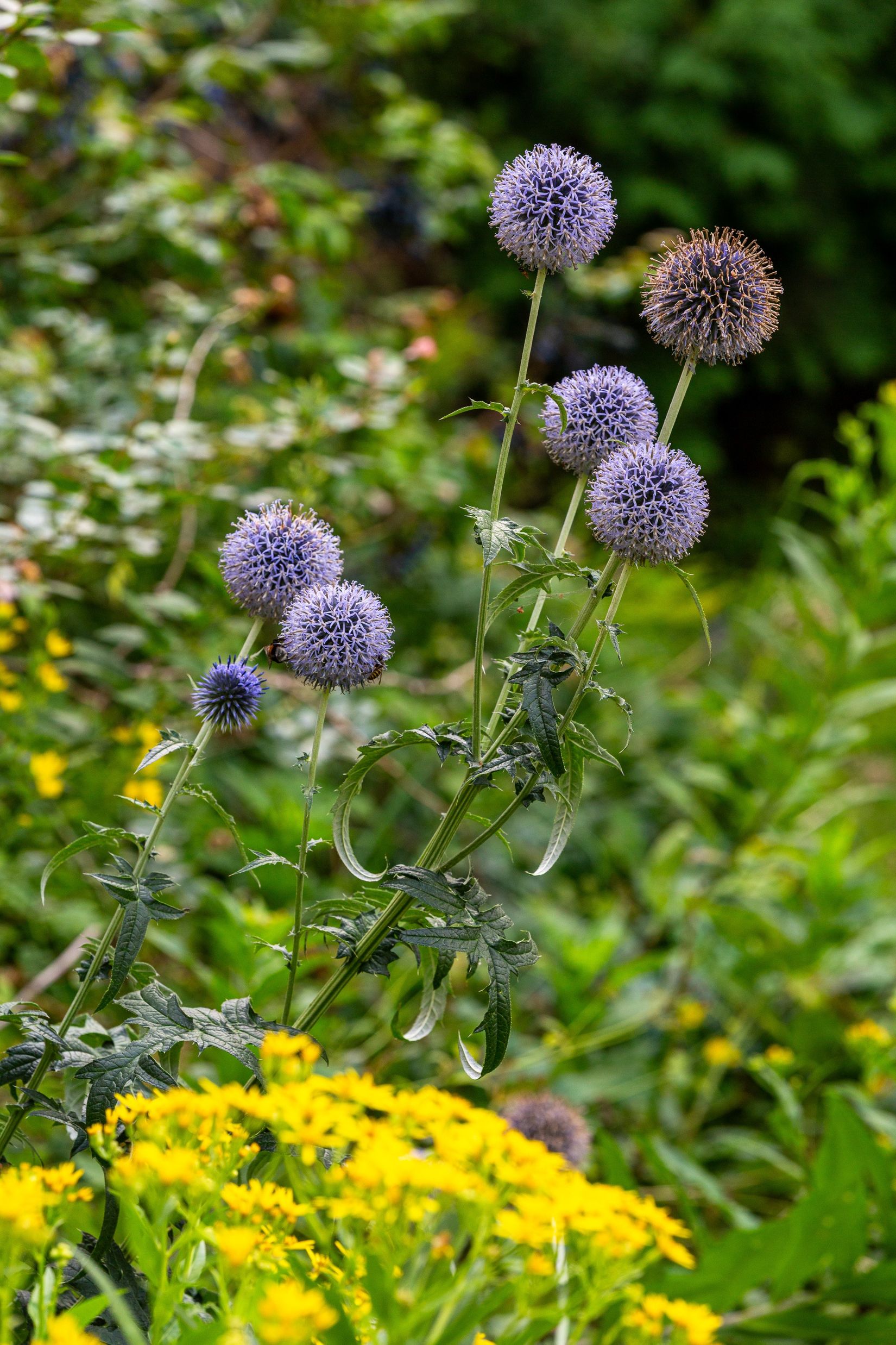 Villa, Fröviforsvägen 3, Frövi, Lindesberg