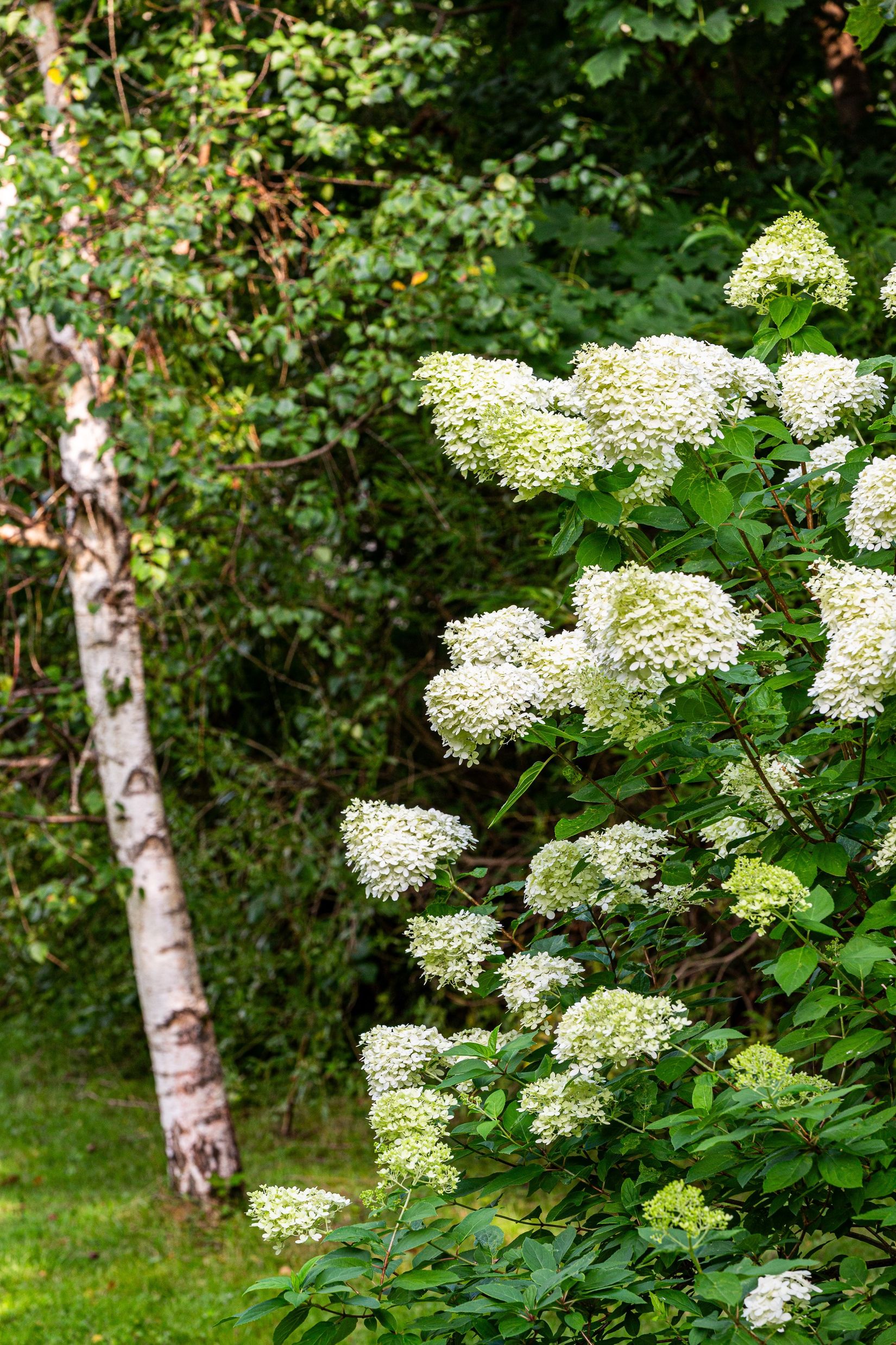 Villa, Fröviforsvägen 3, Frövi, Lindesberg