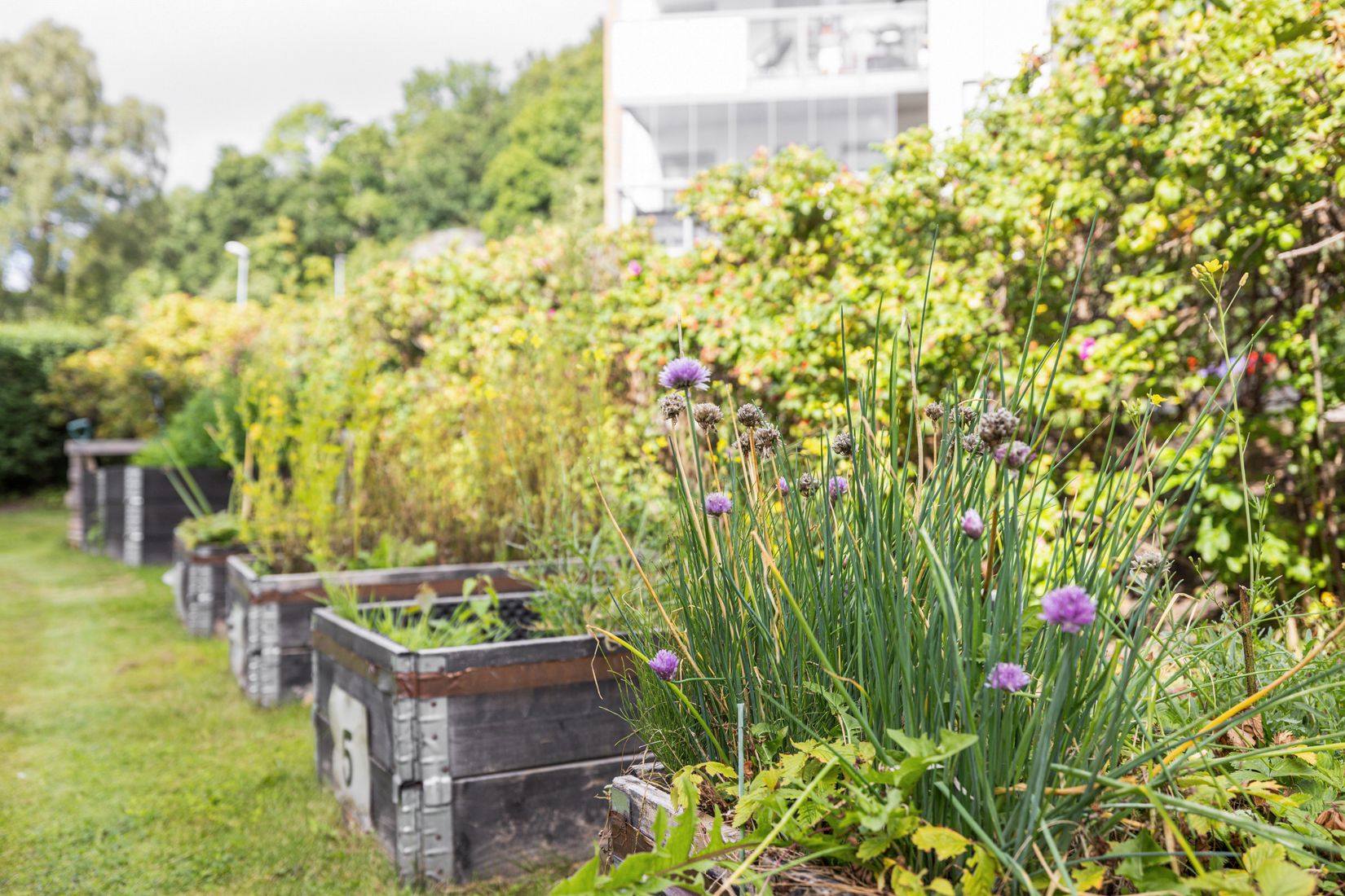 Bostadsrätt, Vänortsgatan 9 A, Bosgården, Mölndal