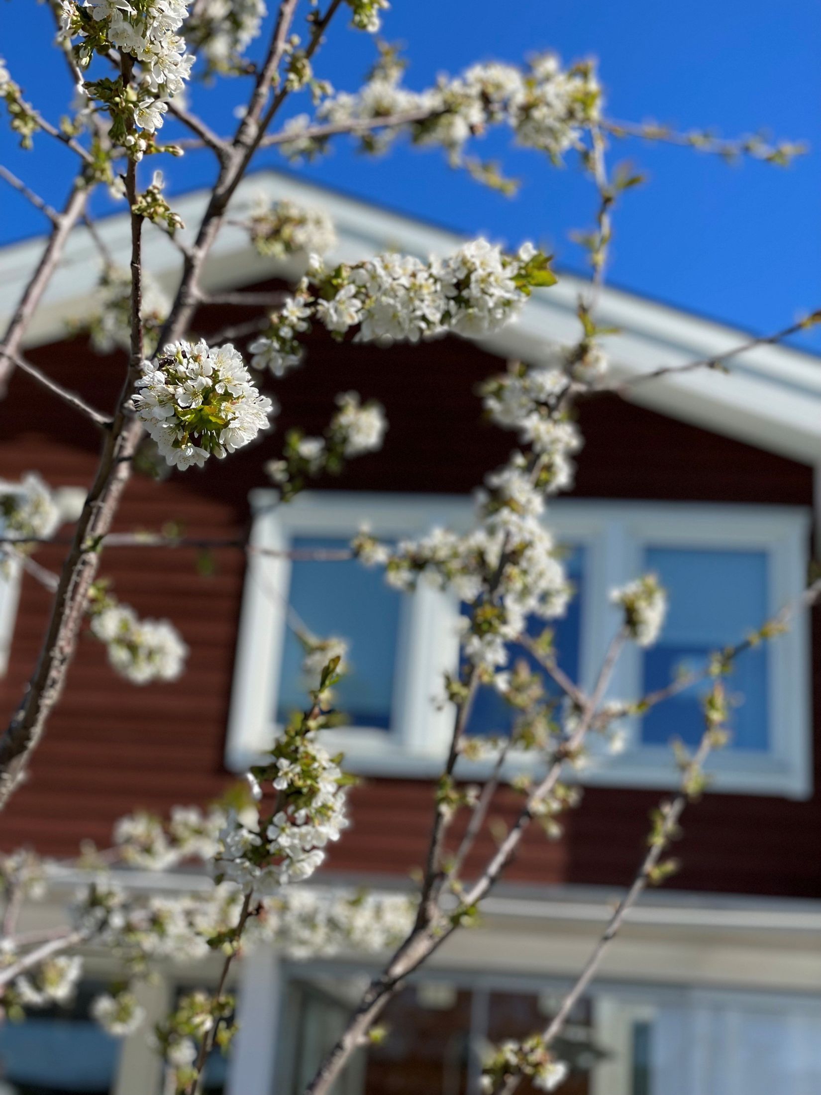 Radhus, Kolonibacken 2, Brännan, Härnösand