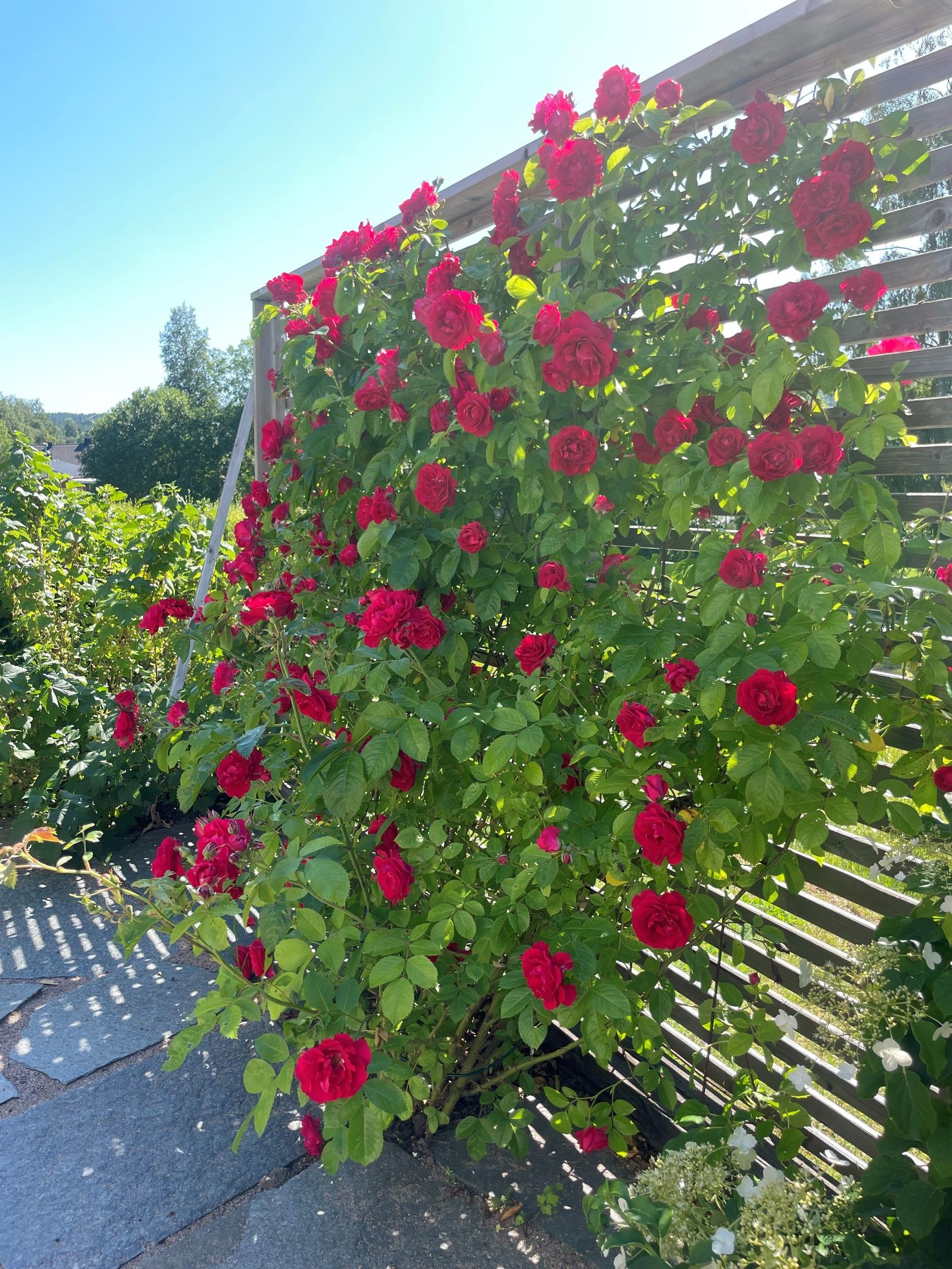 Radhus, Kolonibacken 2, Brännan, Härnösand