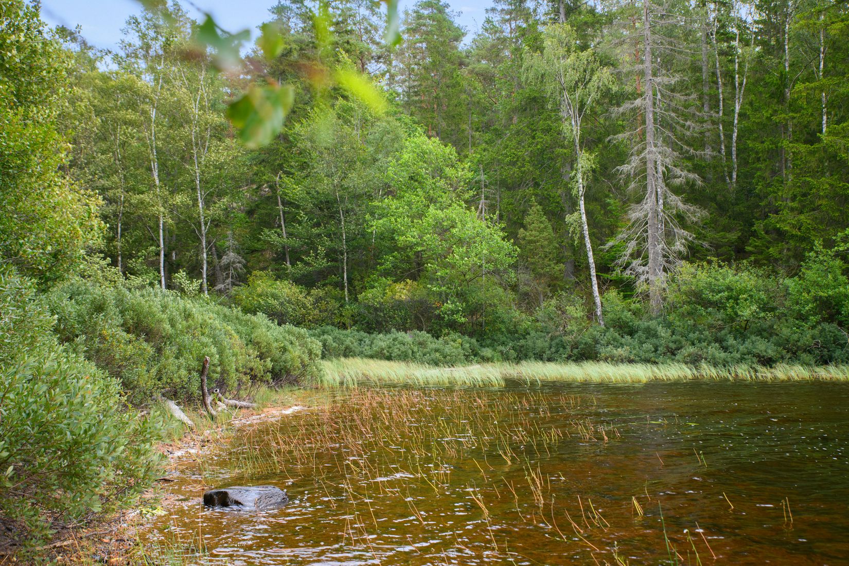 Gård/Skog, Gröngölsmåla 201, Gröngölsmåla, Karlskrona