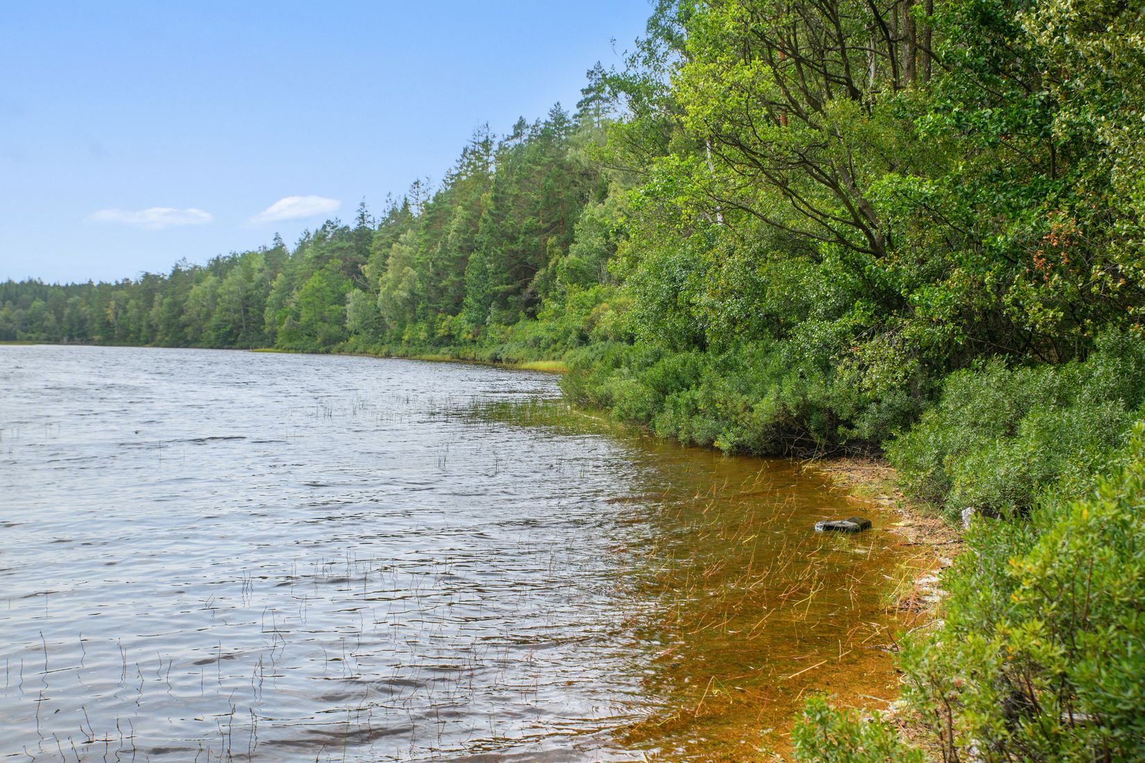Gård/Skog, Gröngölsmåla 201, Gröngölsmåla, Karlskrona