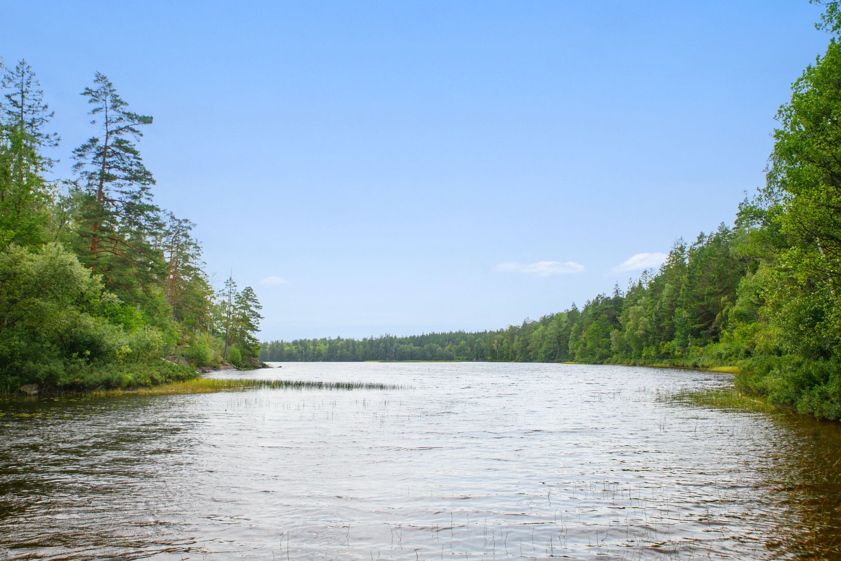 Gård/Skog, Gröngölsmåla 201, Gröngölsmåla, Karlskrona