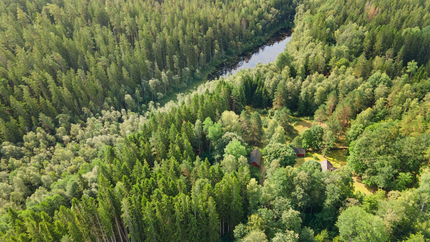 Gård/Skog, Gröngölsmåla 201, Gröngölsmåla, Karlskrona