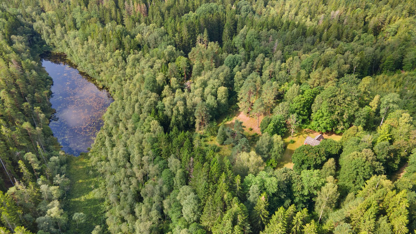 Gård/Skog, Gröngölsmåla 201, Gröngölsmåla, Karlskrona