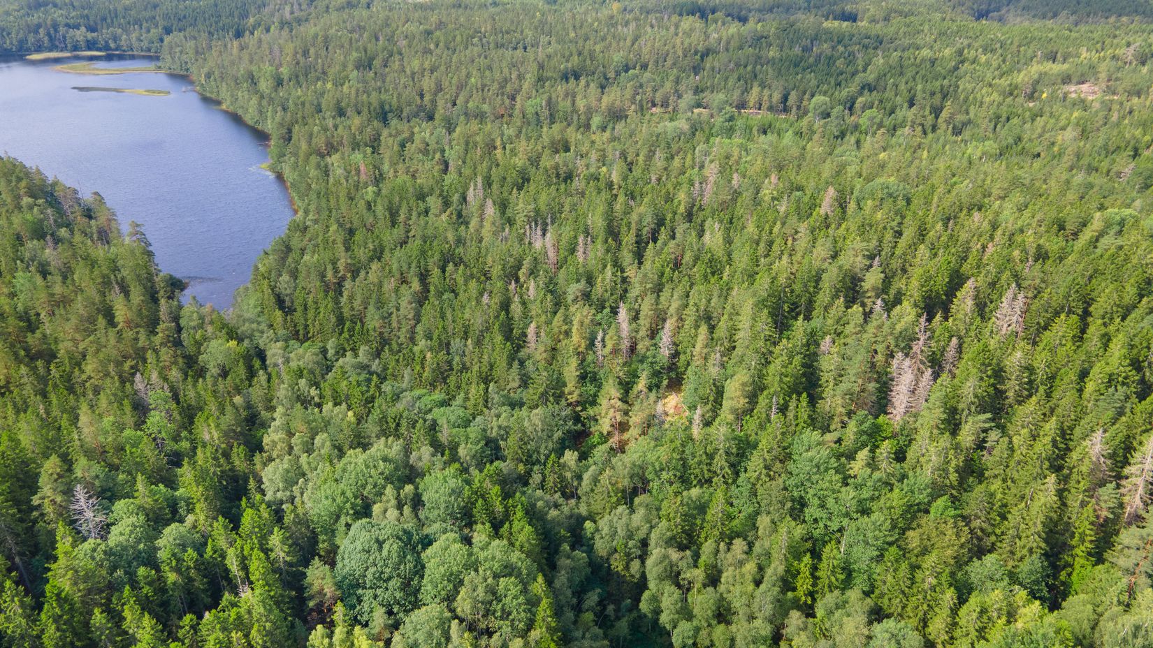 Gård/Skog, Gröngölsmåla 201, Gröngölsmåla, Karlskrona
