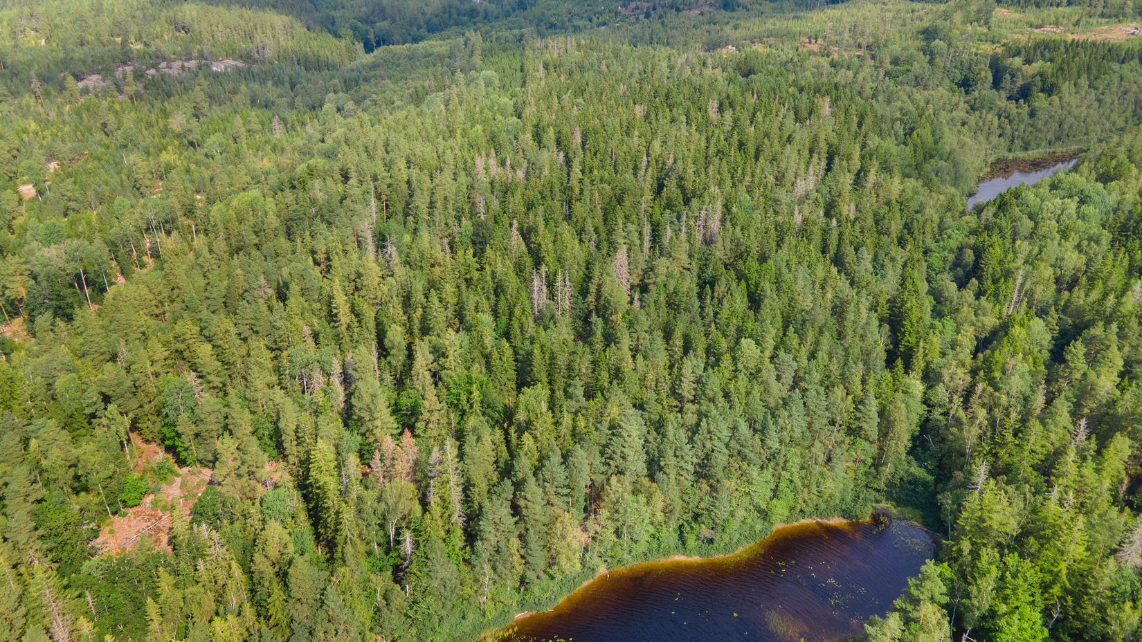 Gård/Skog, Gröngölsmåla 201, Gröngölsmåla, Karlskrona
