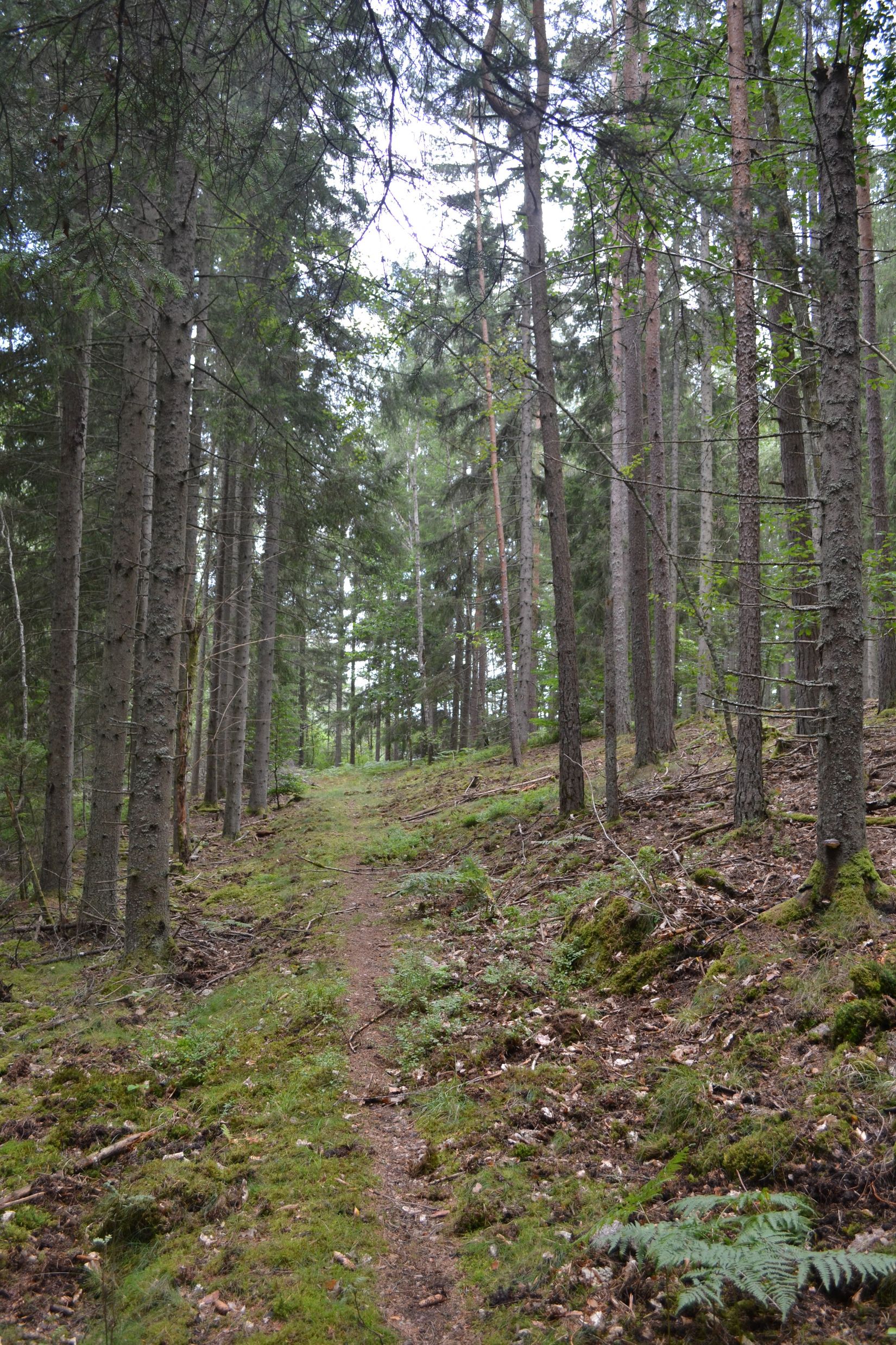 Gård/Skog, Gröngölsmåla 201, Gröngölsmåla, Karlskrona